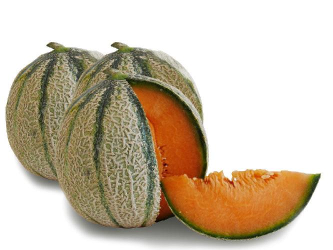 Melone di Pachino Igp, al via la stagione 2009
